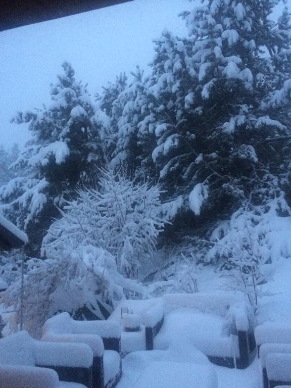 Chalet Pomme De Pin 5 Chambres 12 A 14 PersonnesFormiguères エクステリア 写真