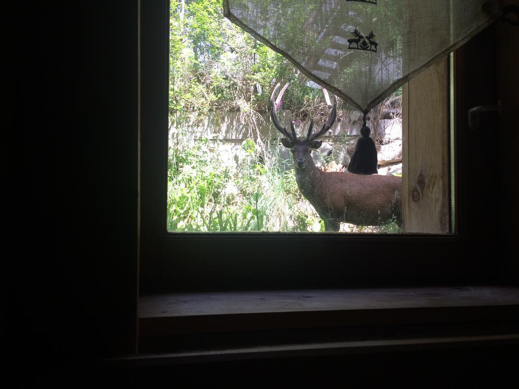 Chalet Pomme De Pin 5 Chambres 12 A 14 PersonnesFormiguères エクステリア 写真