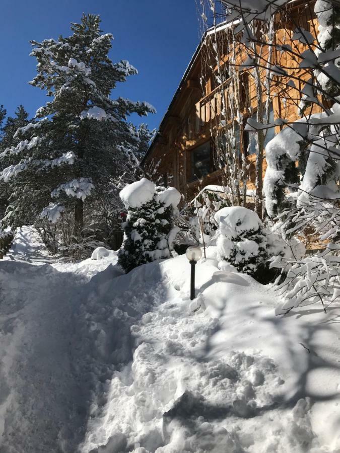Chalet Pomme De Pin 5 Chambres 12 A 14 PersonnesFormiguères エクステリア 写真