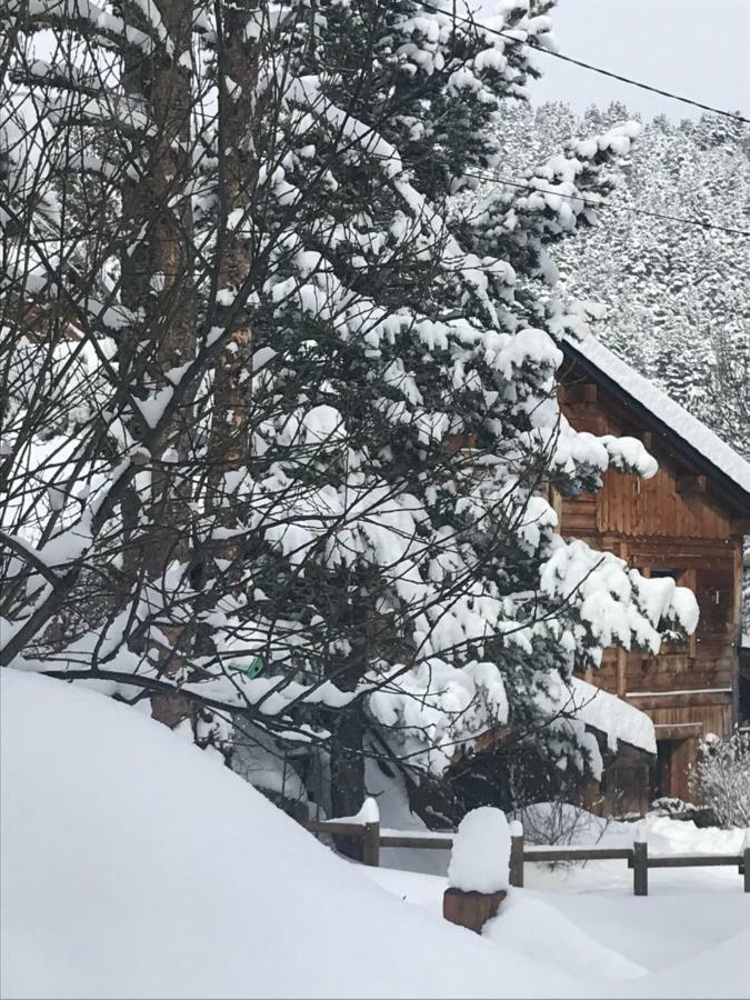 Chalet Pomme De Pin 5 Chambres 12 A 14 PersonnesFormiguères エクステリア 写真